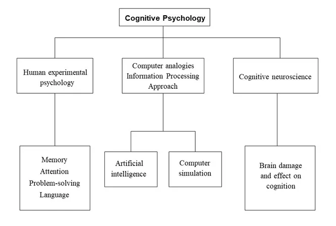 Cognitive Psychology là gì?