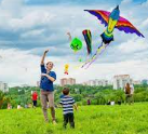 Fly-kites