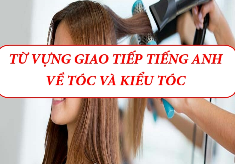 Các kiểu tóc thuật ngữ khi ra tiệm cắt tóc mà con trai cần phải biết  CL  Mens Store  Chuyên WAX  POMADE  nước hoa hàng hiệu